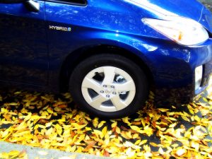 Toyota Prius (3) Toyota Prius (3)
