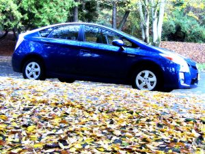 Toyota Prius (4)