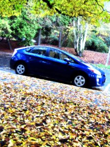 Toyota Prius (5)