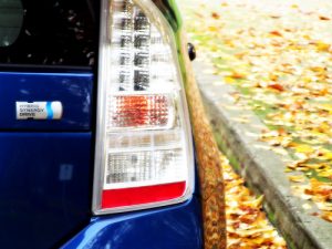 Toyota Prius (6)