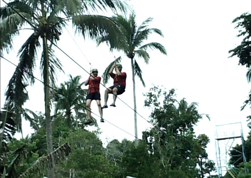 m_Zip Line