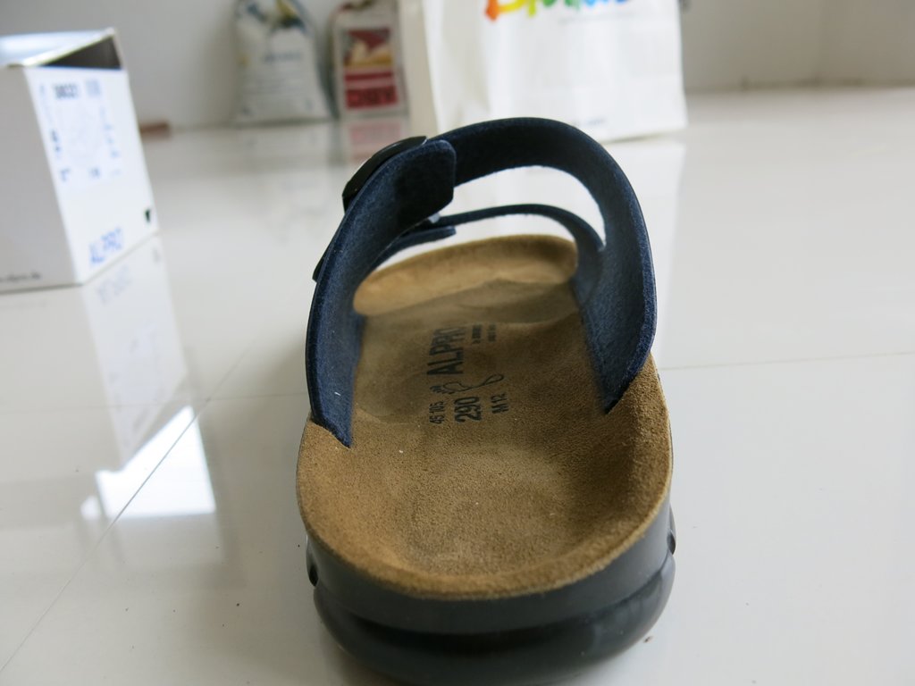 Birkenstock Alpro P250 Men’s Sandals (15)